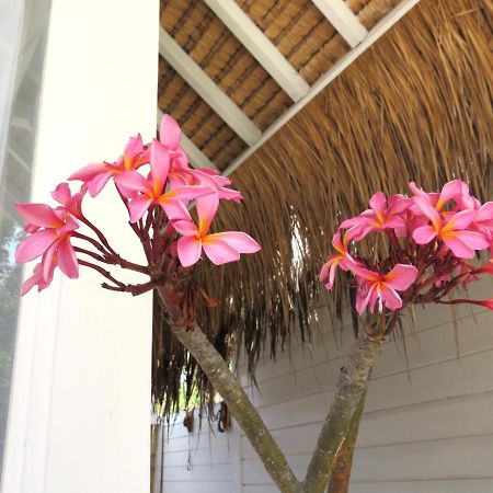 Love Coconut Bungalows Gili Trawangan Exteriör bild