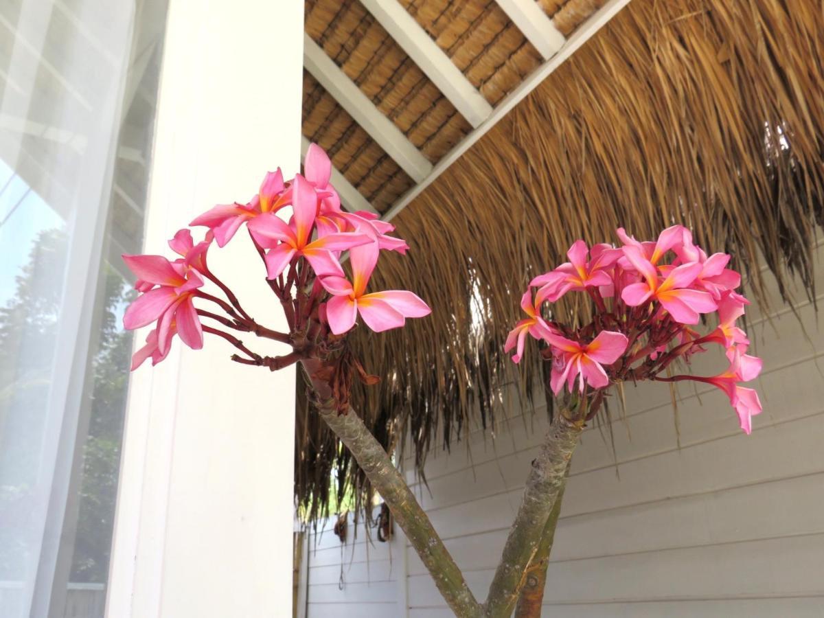 Love Coconut Bungalows Gili Trawangan Exteriör bild